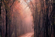 黑白体育官网：西甲三强状态一览：巴萨8连胜，皇马8轮4胜近期3连胜，马竞8轮3胜.