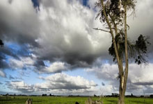 黑白体育官网：艾克森阿兰费南多 第1代非血缘归化国脚退出历史舞台.