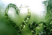 [网球]德约科维奇晋级迈阿密大师赛八强.