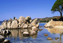 黑白体育官网：[CBA]孙思辰：辽宁队夺冠实至名归.